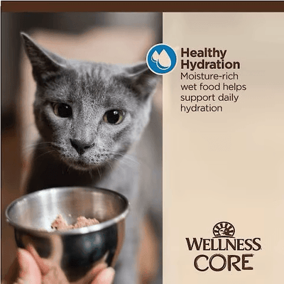 Wellness CORE Tiny Tasters Flaked Tuna & Shrimp in Sauce Wet Cat Food - 50g - Canned Cat Food - Wellness - PetMax Canada
