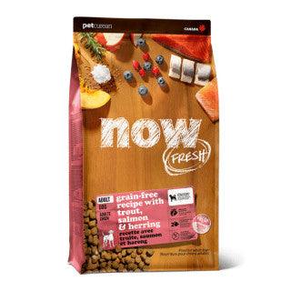 Now Fresh Grain-Free Adult Fish Recipe Dry Dog Food - 1.59 Kg - Dog Food - Now Fresh - PetMax Canada