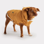 GF Pet Super Puff Parka Yellow For Dogs  Coats  | PetMax Canada