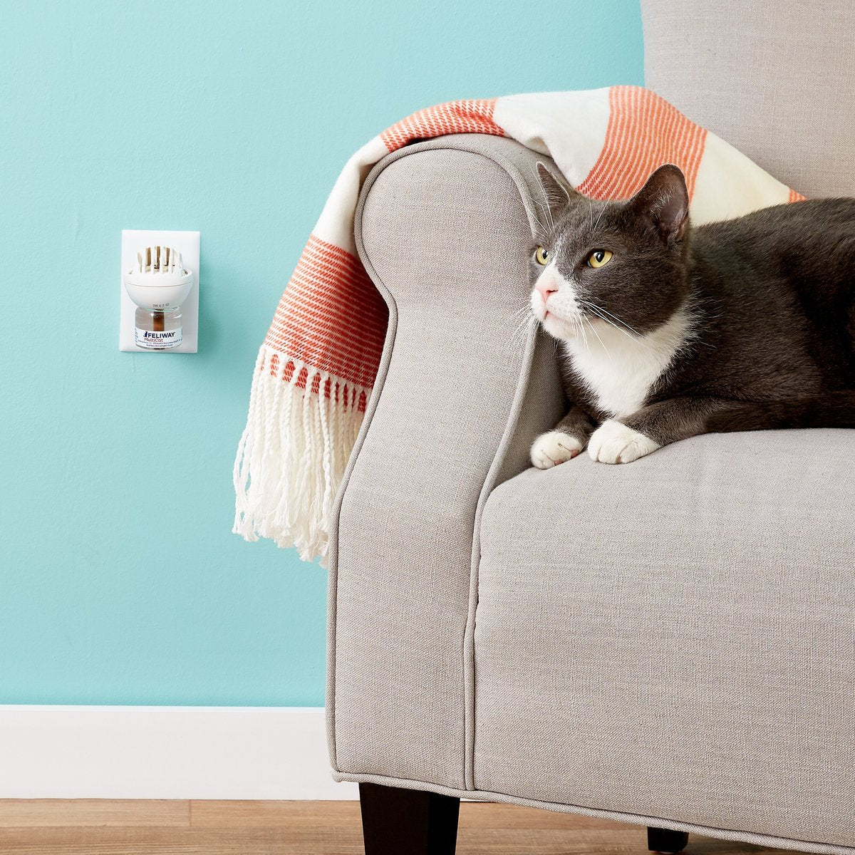 Feliway MultiCat 30 Day Starter Kit Calming Diffuser for Cats  Cat Health Care  | PetMax Canada