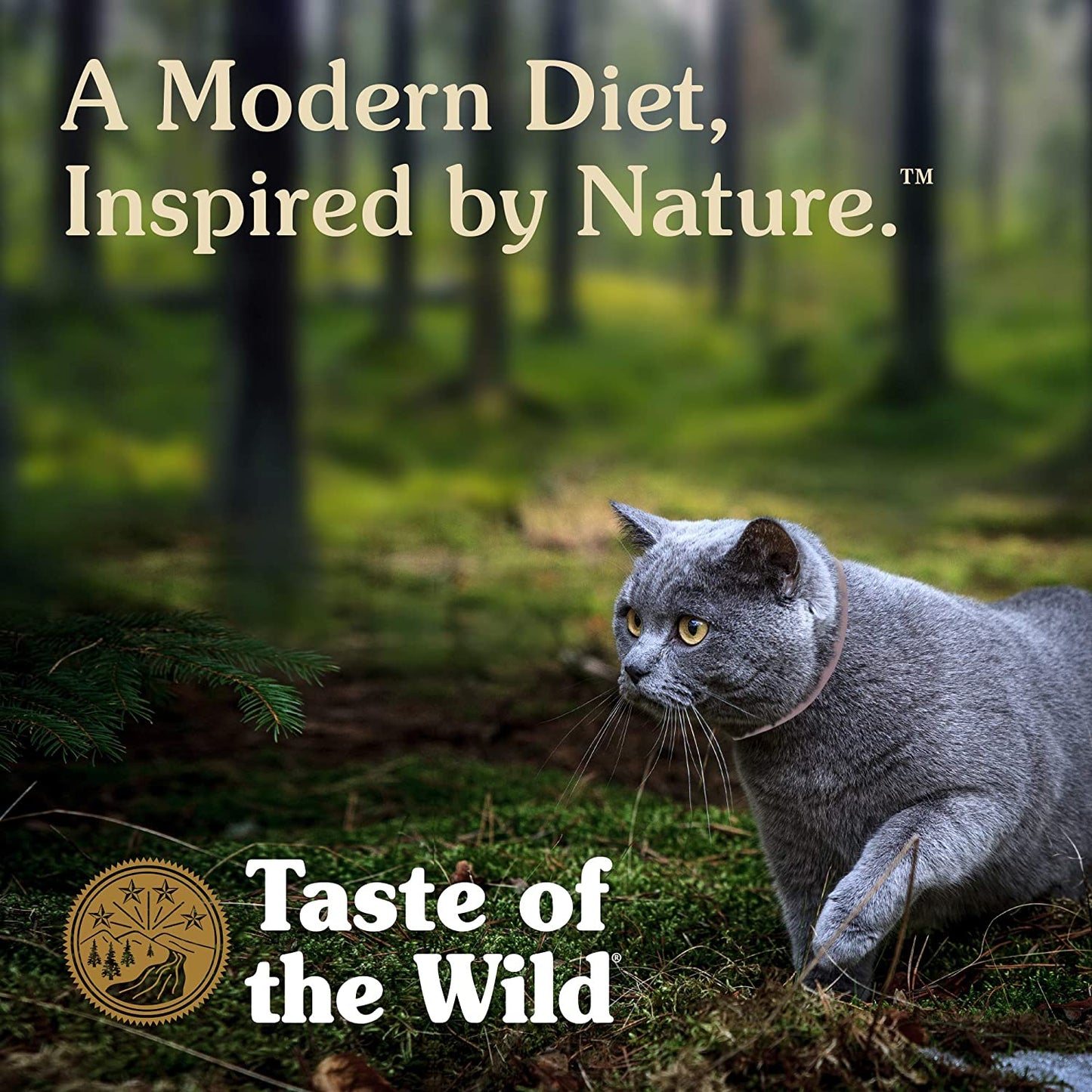 Taste Of The Wild Canned Cat Food Rocky Mountain  Canned Cat Food  | PetMax Canada