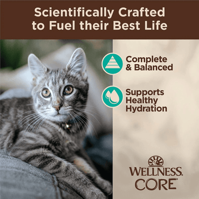 Wellness CORE Tiny Tasters Flaked Tuna & Salmon in Sauce Wet Cat Food - 50g - Canned Cat Food - Wellness - PetMax Canada