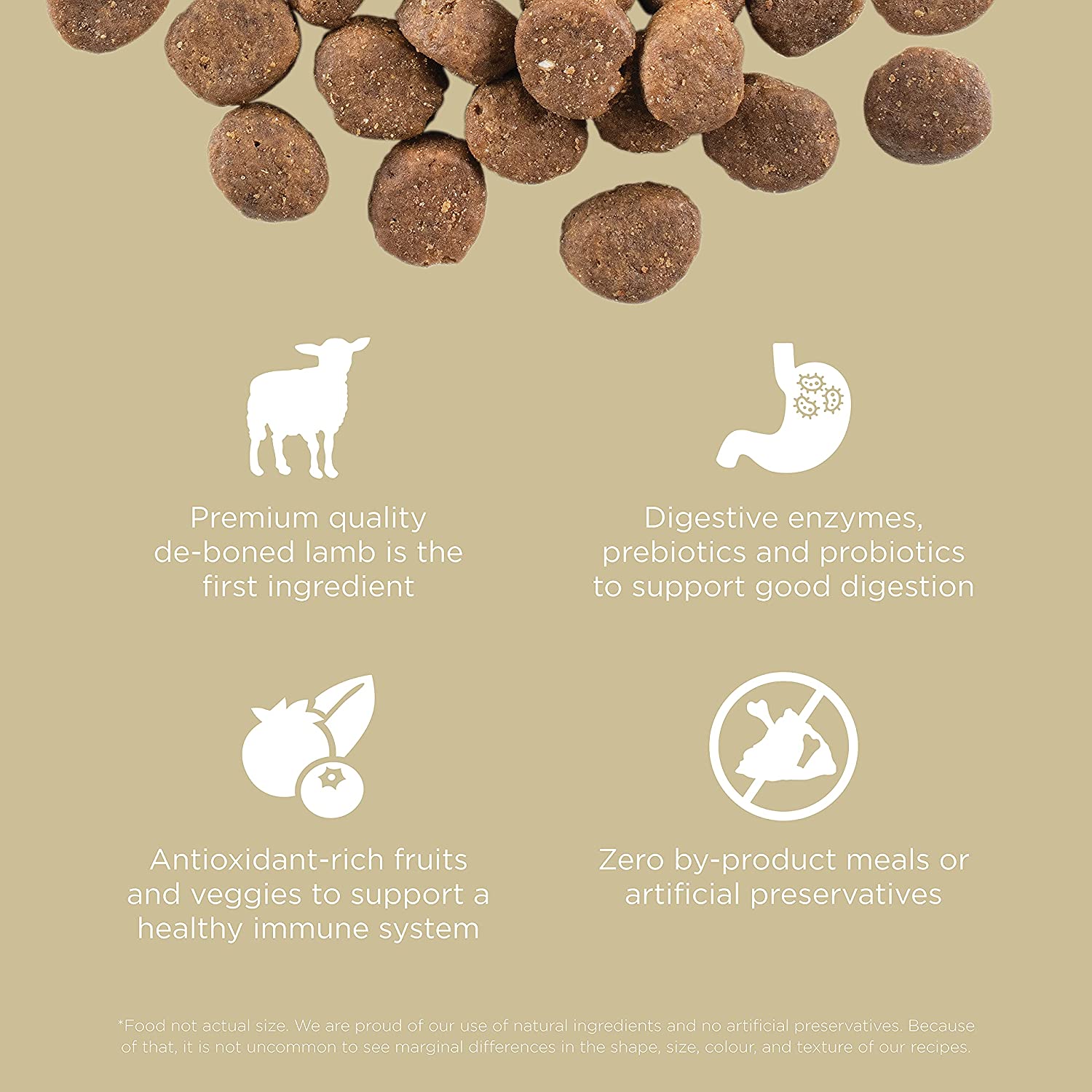 GO! CARNIVORE Grain Free Lamb + Wild Boar Recipe for dogs  Dog Food  | PetMax Canada