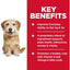 Hill's Science Diet Adult 7+ Senior Vitality Small & Mini Dry Dog Food  Dog Food  | PetMax Canada