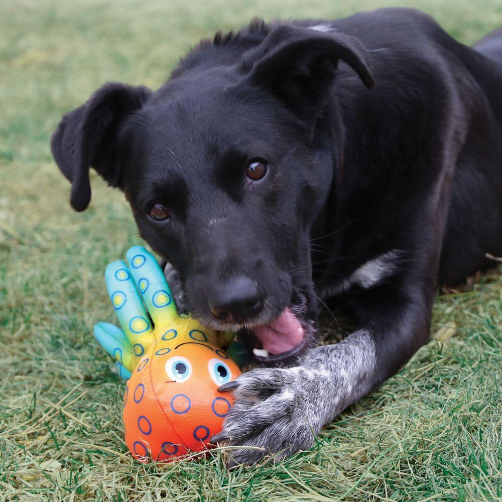Kong Dog Toy Shieldz Tropics Octopus - Medium - Dog Toys - Kong - PetMax Canada