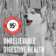 Bixbi Rawbble Beef Recipe Grain-Free Freeze-Dried Dog Food  Dog Food  | PetMax Canada