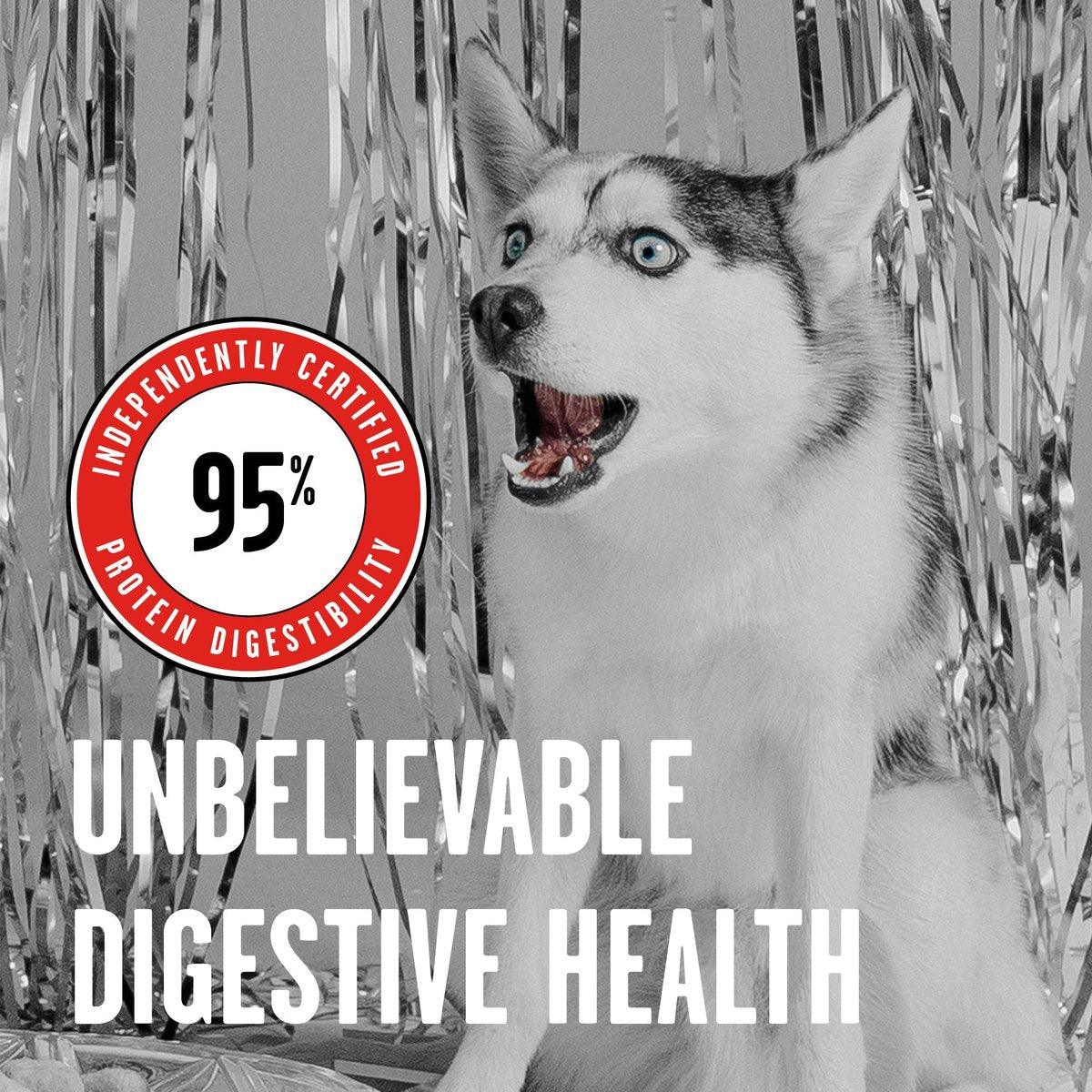 Bixbi Rawbble Beef Recipe Grain-Free Freeze-Dried Dog Food - 340g - Dog Food - Bixbi - PetMax Canada