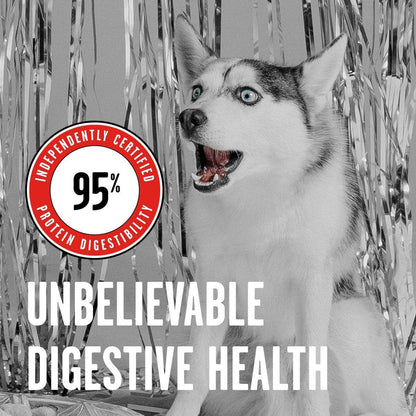 Bixbi Rawbble Beef Recipe Grain-Free Freeze-Dried Dog Food - 340g - Dog Food - Bixbi - PetMax Canada