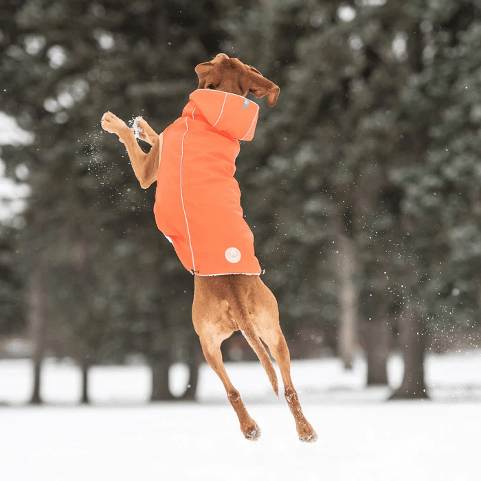 GF Pet Insulated Raincoat Orange For Dogs  Coats  | PetMax Canada