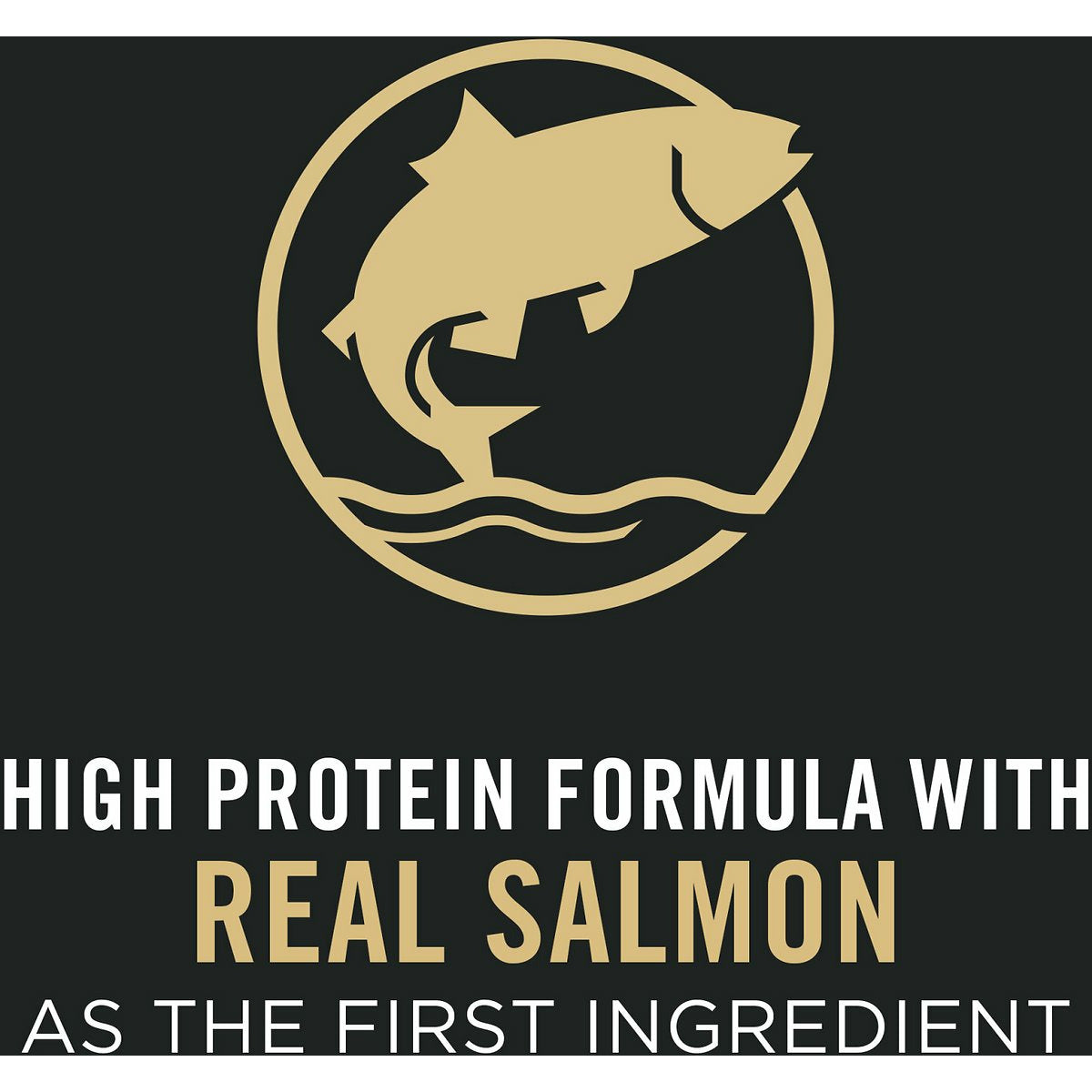 Purina Pro Plan Sensitive Skin & Stomach Salmon & Rice Formula Puppy Food  Dog Food  | PetMax Canada