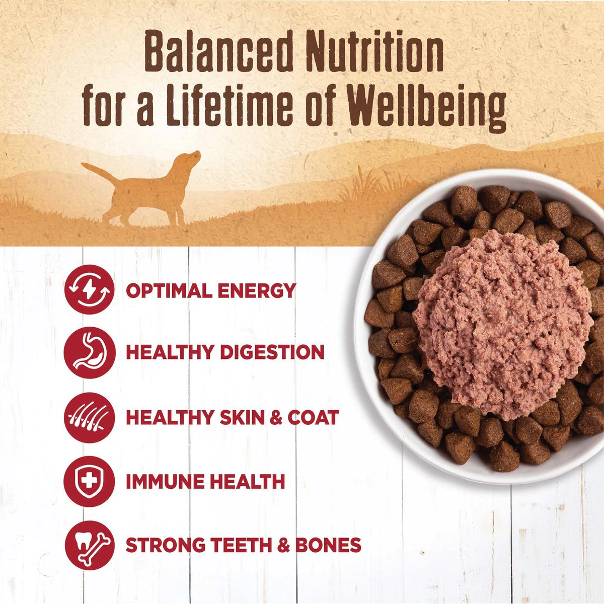 Wellness Canned Dog Food 95% Beef  Canned Dog Food  | PetMax Canada