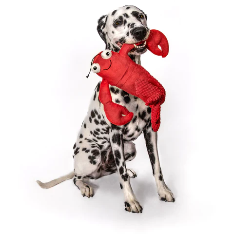 Fabdog Floppy Dog Toy Lobster  Dog Toys  | PetMax Canada