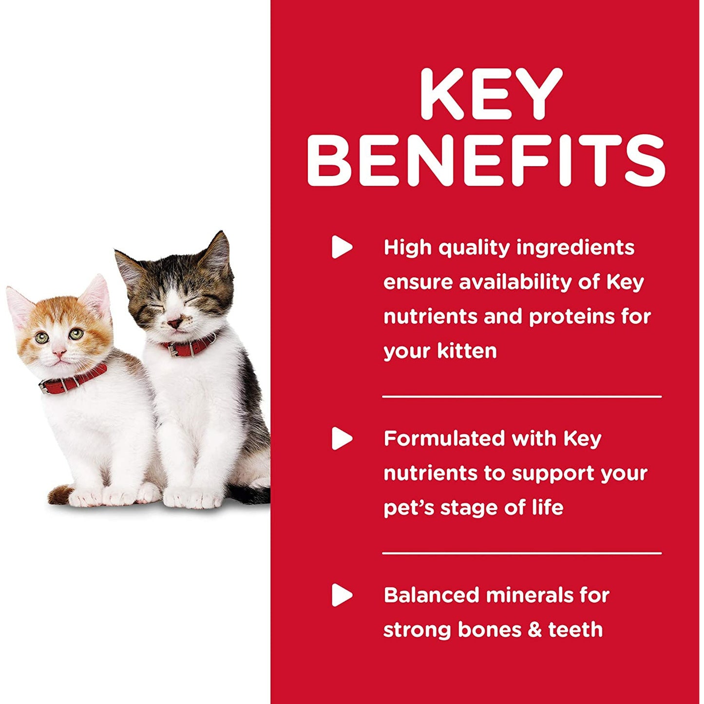 Science Diet Feline Tender Dinners Kitten Chicken  Canned Cat Food  | PetMax Canada
