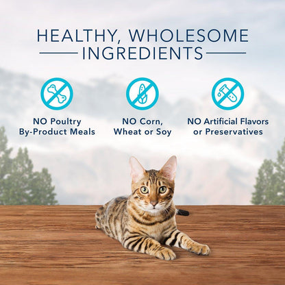 Blue Buffalo Wilderness Trout Formula Crunchy Grain-Free Cat Treats - 56g - Cat Treats - Blue Buffalo - PetMax Canada