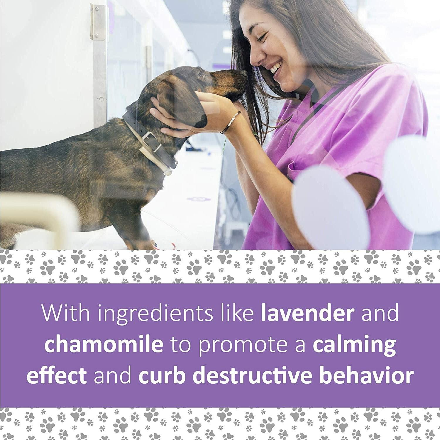 Veterinary Formula Clinical Care Pet Calm Supplement - 30 Count - Health Care - Synergy Labs - PetMax Canada