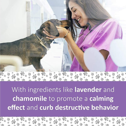 Veterinary Formula Clinical Care Pet Calm Supplement - 30 Count - Health Care - Synergy Labs - PetMax Canada