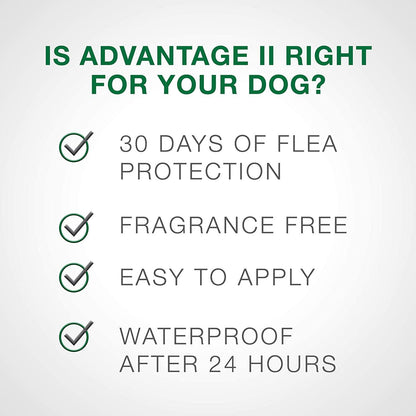 Advantage II For Small Dogs - Under 4.5Kg / 4 Pack - Flea & Tick Topical Applications - Advantage - PetMax Canada