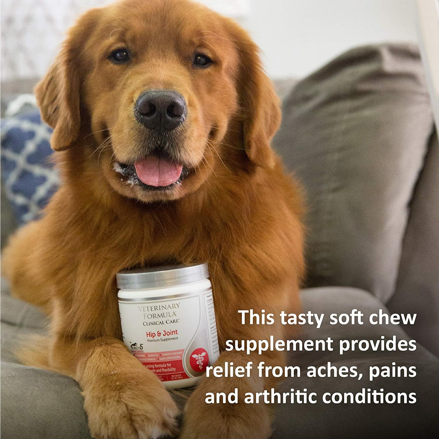 Veterinary Formula Clinical Care Hip and Joint Supplement  Health Care  | PetMax Canada