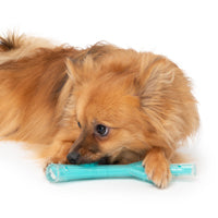 Zeus Duo Dog Toy Stick Chicken Scent Turquoise  Dog Toys  | PetMax Canada