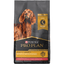 Purina Pro Plan Sensitive Skin & Stomach 7+ Salmon & Rice Formula Dry Dog Food - 10.9 Kg - Dog Food - Purina Pro Plan - PetMax Canada