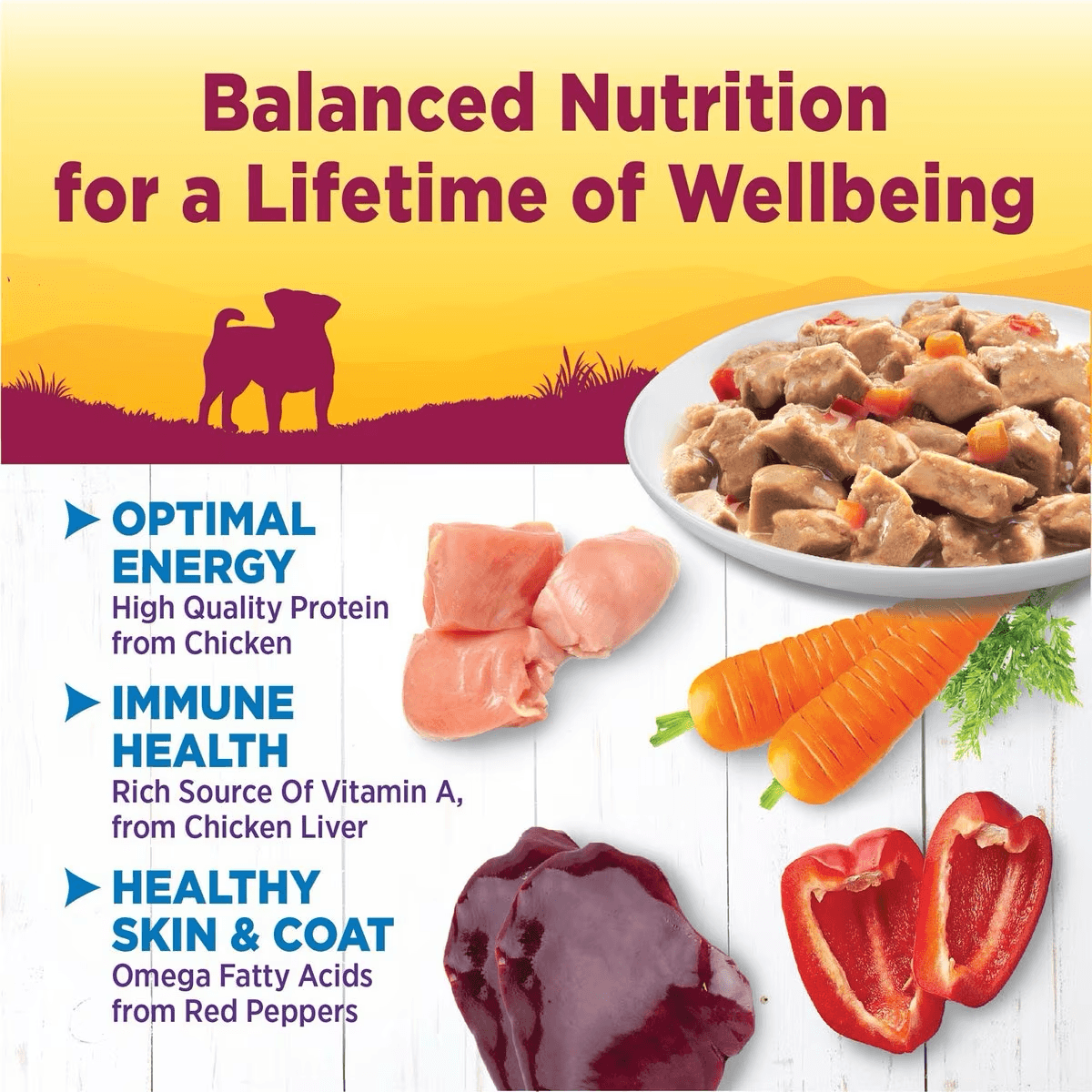 Wellness Petite Entrées Roasted Chicken, Carrots & Red Peppers in Gravy Wet Small Breed Dog Food - 85g - Canned Dog Food - Wellness - PetMax Canada