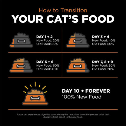 GO! SKIN + COAT CARE Grain Free Salmon Recipe for cats - 1.36 Kg - Cat Food - Go! - PetMax Canada