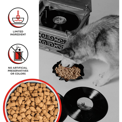 Bixbi Rawbble Beef Recipe Grain-Free Freeze-Dried Dog Food - 340g - Dog Food - Bixbi - PetMax Canada