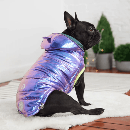 GF Pet Recycled Parka Iridescent For Dogs - X-Small - Coats - GF Pet - PetMax Canada