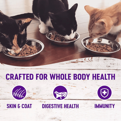 Wellness Healthy Indulgence Morsels Salmon & Tuna Wet Cat Food - 85g - Canned Cat Food - Wellness - PetMax Canada