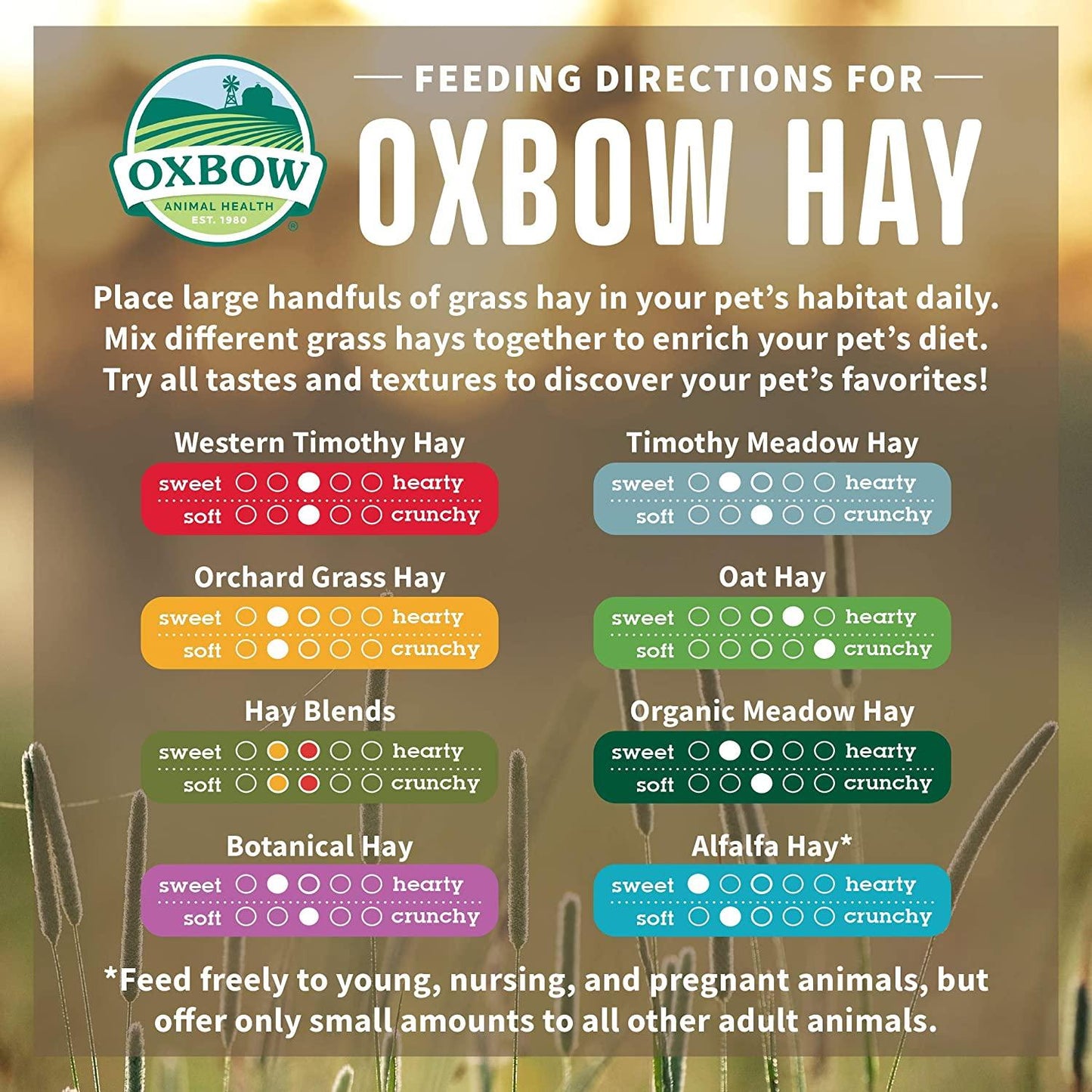 Oxbow Small Animal Health Alfalfa Hay  Small Animal Litter  | PetMax Canada