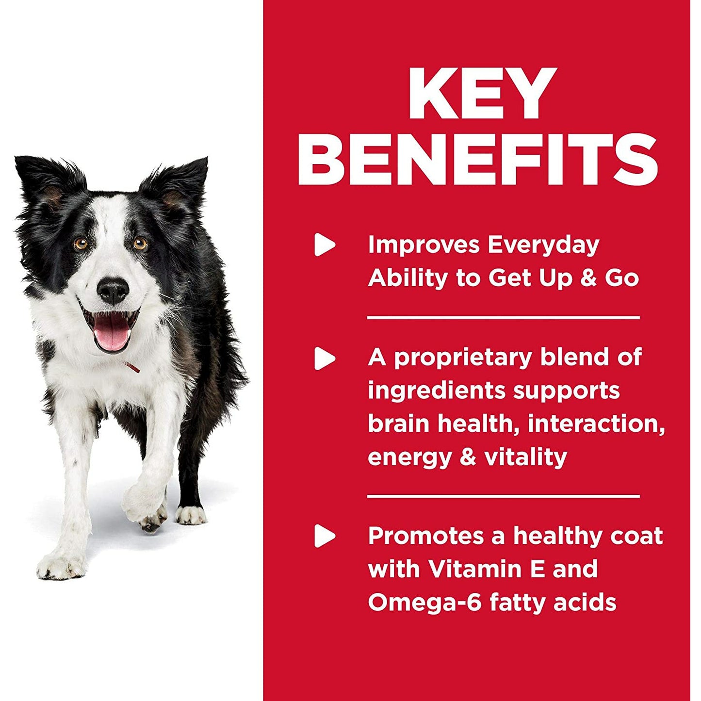 Hill's Science Diet Dry Dog Food, Adult 7+, Senior Vitality, Chicken & Rice Recipe  Dog Food  | PetMax Canada