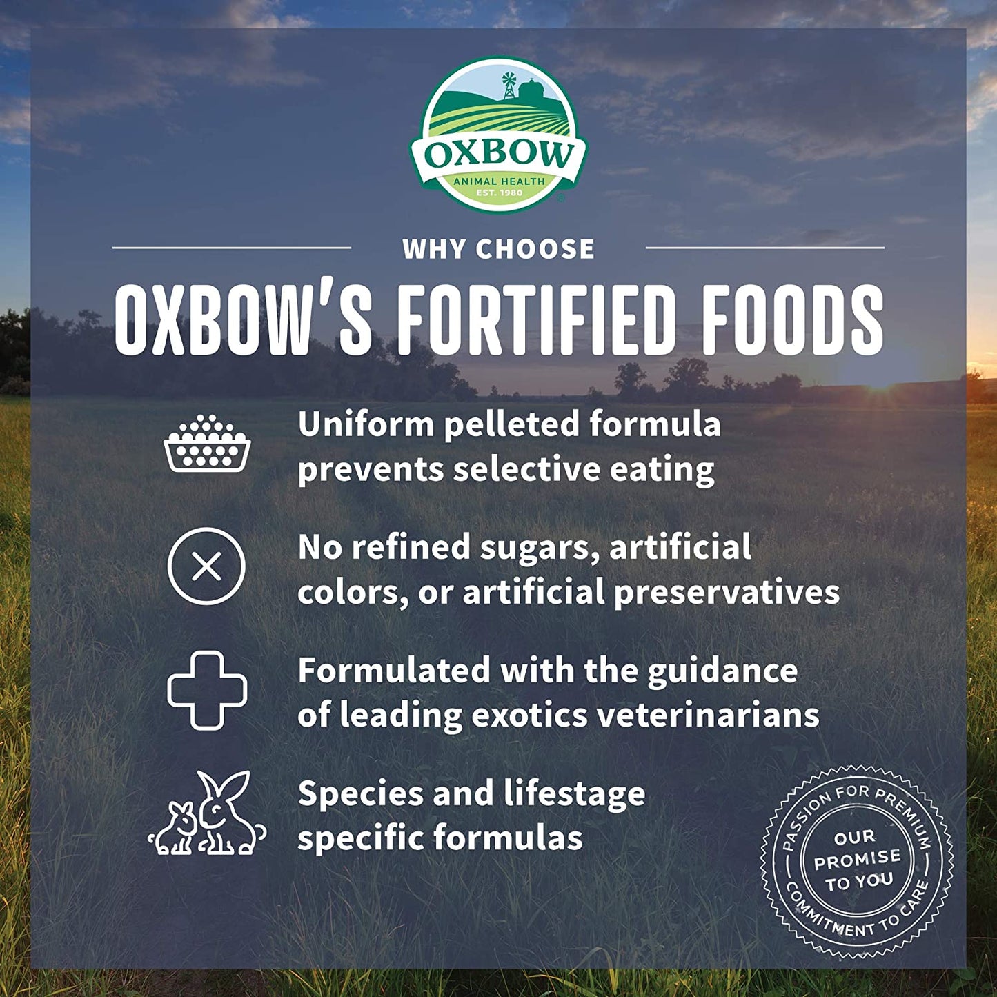 Oxbow Essentials Adult Rabbit Food  Small Animal Food Dry  | PetMax Canada