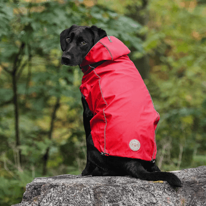 GF Pet Reversible Raincoat Red For Dogs - Small - Coats - GF Pet - PetMax Canada