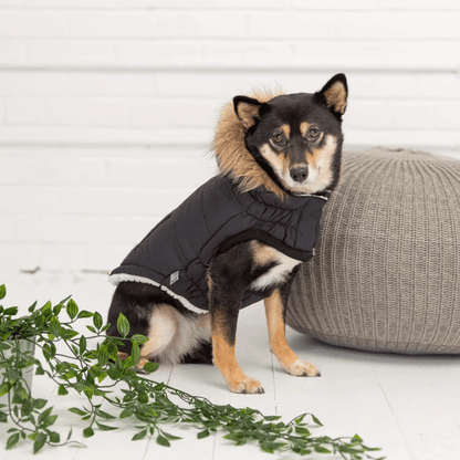 GF Pet Urban Parka Black For Dogs - X-Small - Coats - GF Pet - PetMax Canada