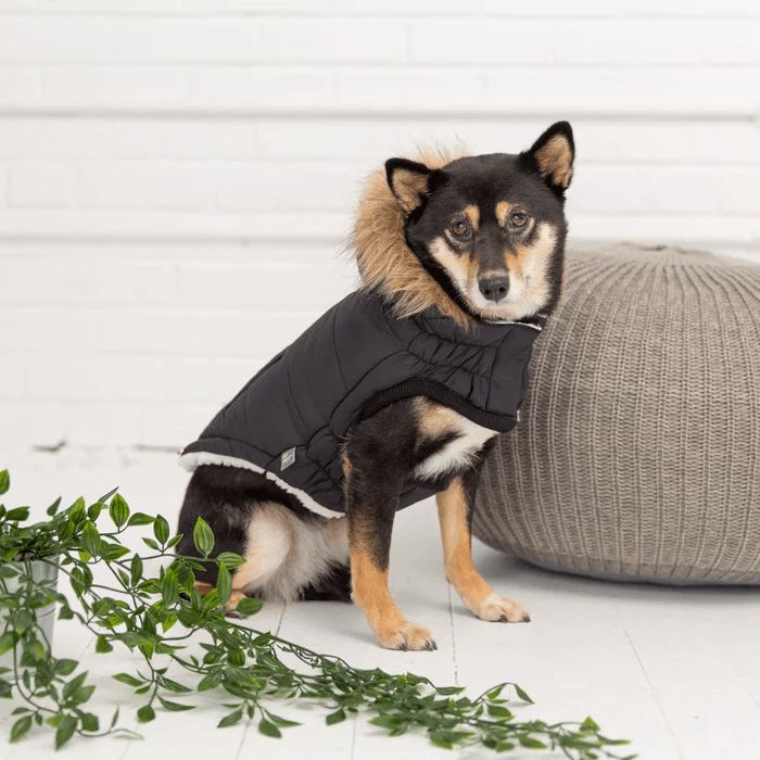 GF Pet Urban Parka Black For Dogs - X-Small - Coats - GF Pet - PetMax Canada