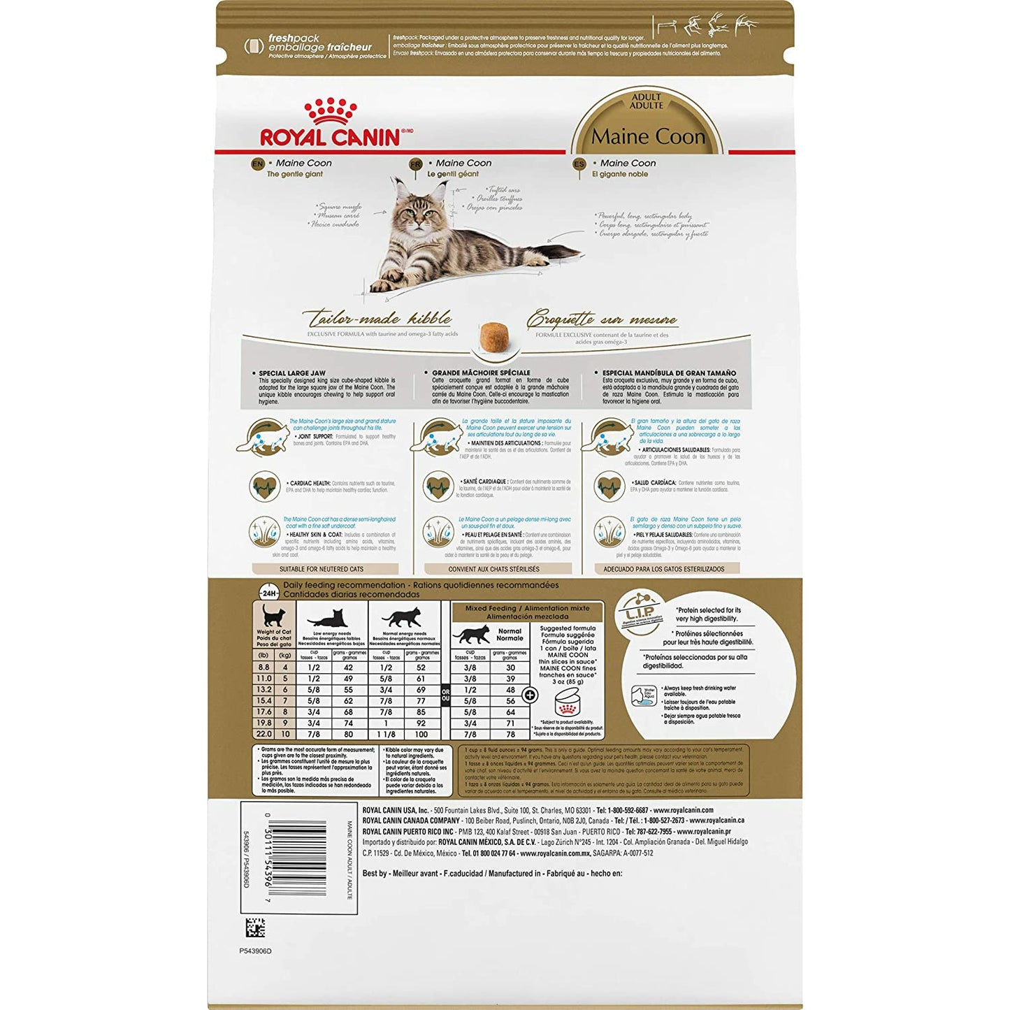 Royal Canin Feline Breed Nutrition Maine Coon Adult Dry Cat Food  Cat Food  | PetMax Canada
