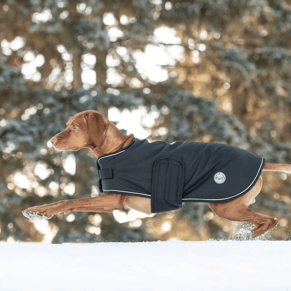 GF Pet Blanket Jacket Black For Dogs - Medium - Coats - GF Pet - PetMax Canada