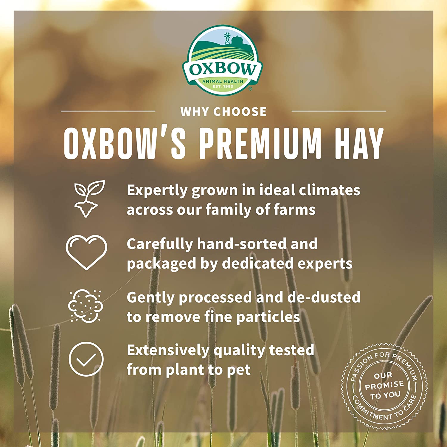 Oxbow Small Animal Health Western Timothy Hay  Small Animal Dry Food  | PetMax Canada