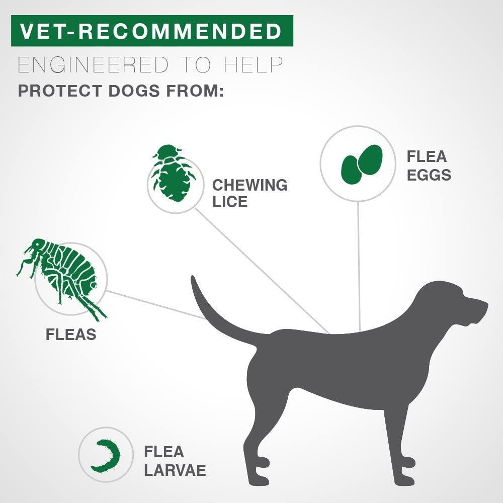 Advantage II For Small Dogs - Under 4.5Kg / 4 Pack - Flea & Tick Topical Applications - Advantage - PetMax Canada