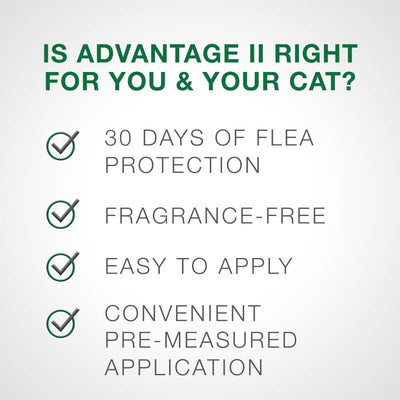 Advantage II For Small Cats - 2.4Kg - 4Kg / 4 Pack - Flea & Tick - Advantage - PetMax Canada