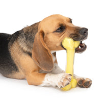 Zeus Duo Dog Toy Bone Coconut Scent Yellow  Dog Toys  | PetMax Canada