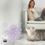 Feliway Optimum Enhanced Calming Pheromone 30 Day Cat Diffuser Refill  Cat Health Care  | PetMax Canada