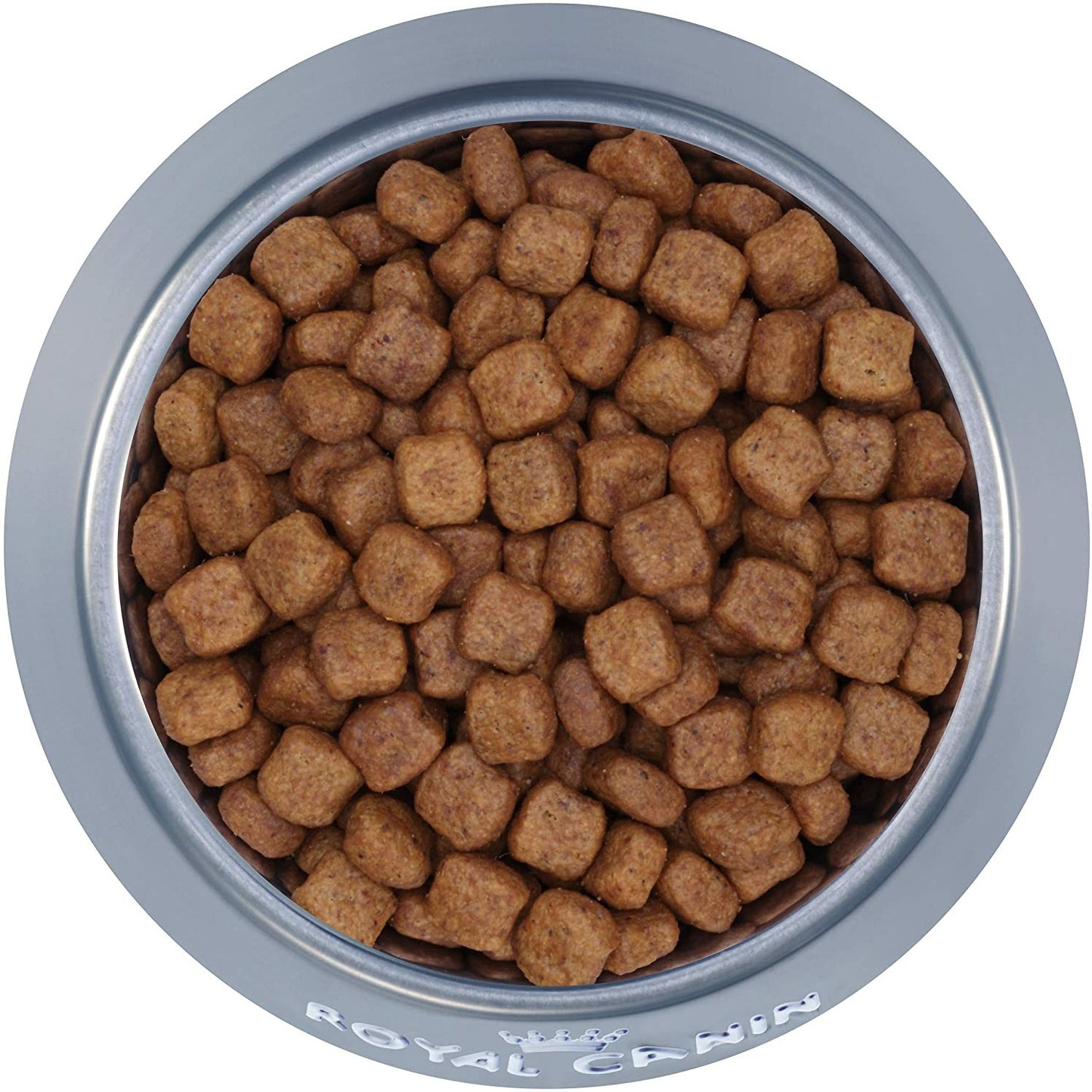 Royal Canin Breed Health Nutrition Dachshund Adult Dry Dog Food  Dog Food  | PetMax Canada