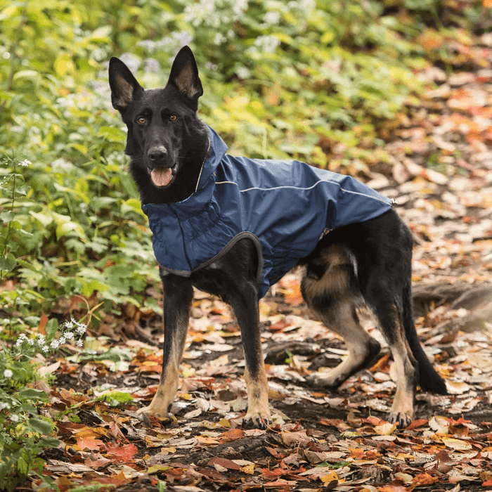 GF Pet Reversible Raincoat Navy For Dogs - X-Small - Coats - GF Pet - PetMax Canada