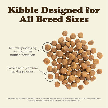 Now Fresh Grain-Free Adult Fish Recipe Dry Dog Food - 1.59 Kg - Dog Food - Now Fresh - PetMax Canada