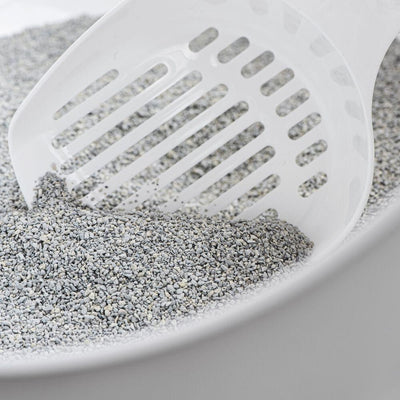 Odourlock Ultra Premium Calming Breeze Clumping Litter - 6 Kg - Cat Litter - Odourlock - PetMax Canada