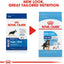 Royal Canin Dog Food Large Breed Puppy  Dog Food  | PetMax Canada