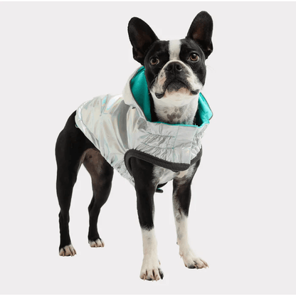 GF Pet Reversible Raincoat Neon Aqua For Dogs - X-Small - Coats - GF Pet - PetMax Canada