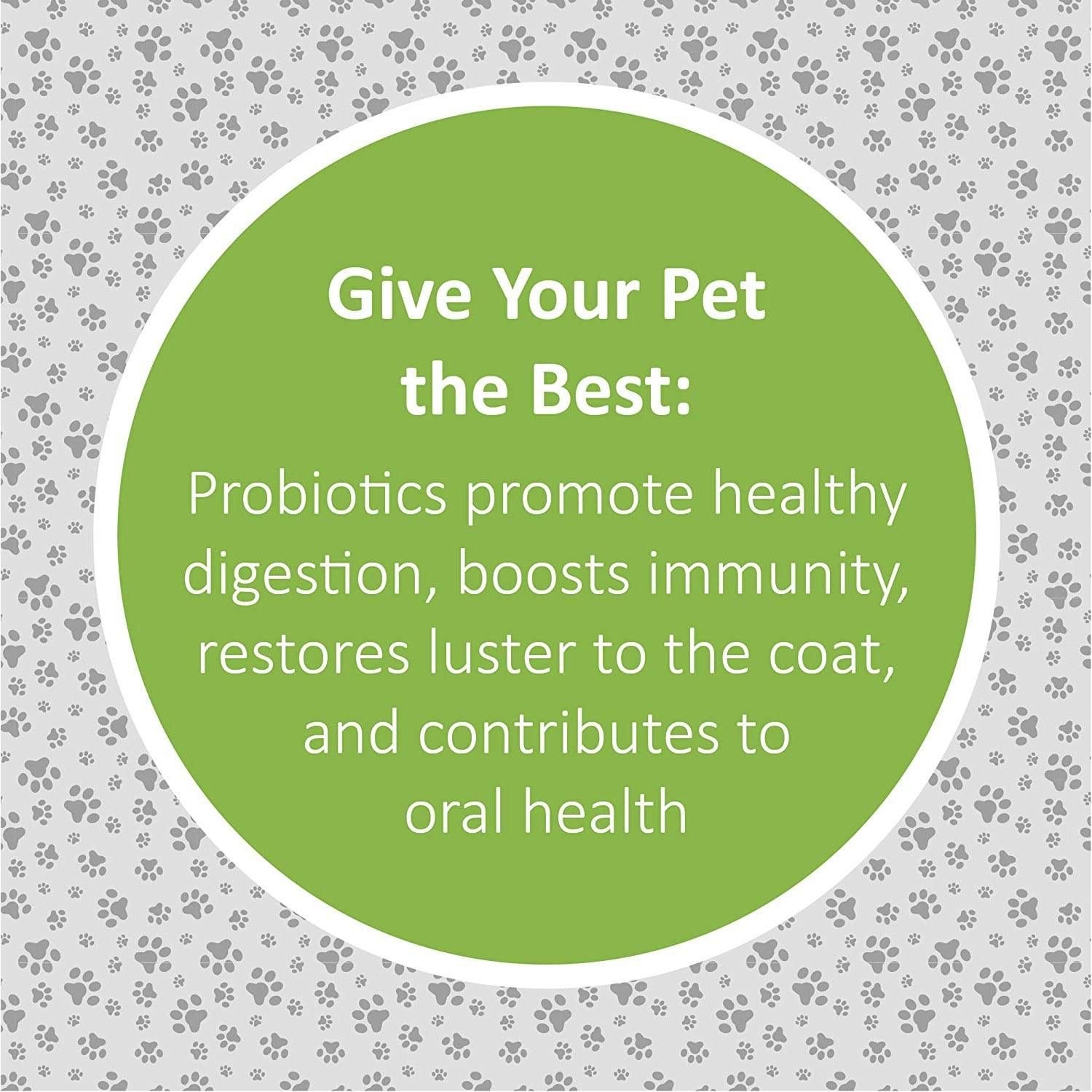Veterinary Formula Clinical Care Super Probiotic Supplement - 30 Count - Health Care - Synergy Labs - PetMax Canada