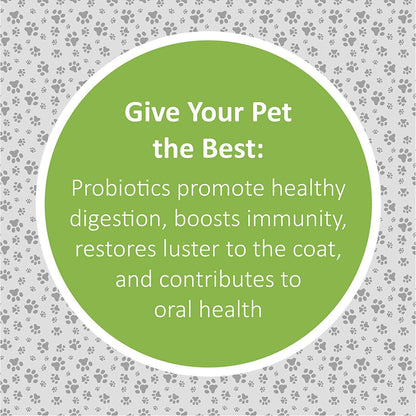 Veterinary Formula Clinical Care Super Probiotic Supplement - 30 Count - Health Care - Synergy Labs - PetMax Canada